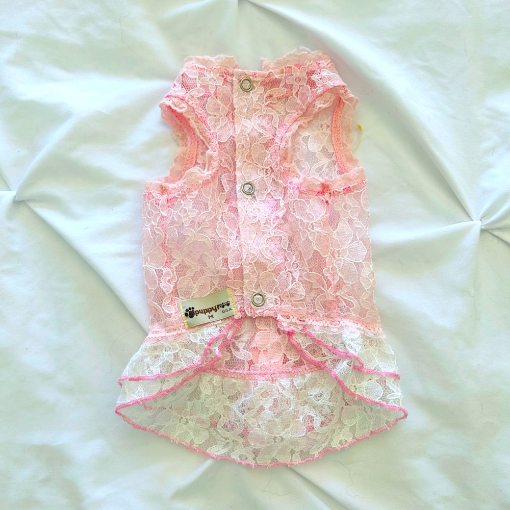 X small/small dress for puppy/small dog